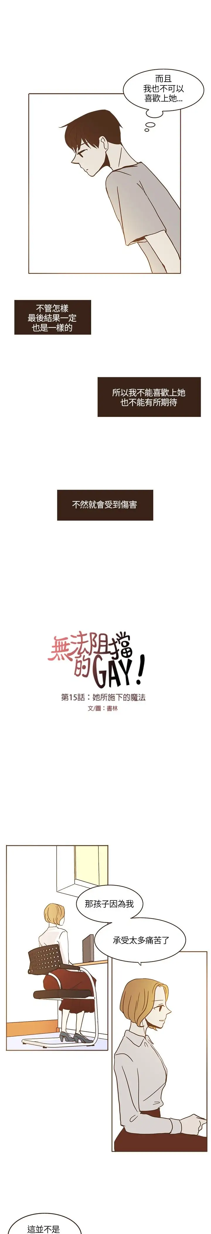 无法阻挡的Gay第15话