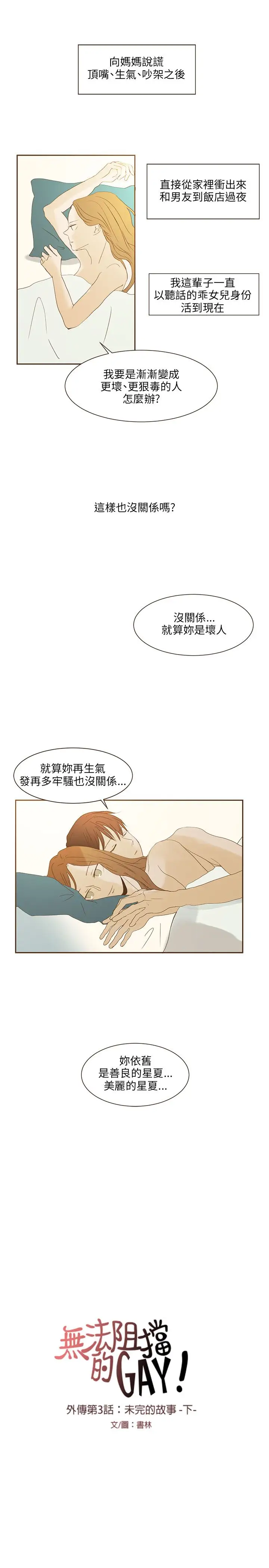 无法阻挡的Gay第48话外传3