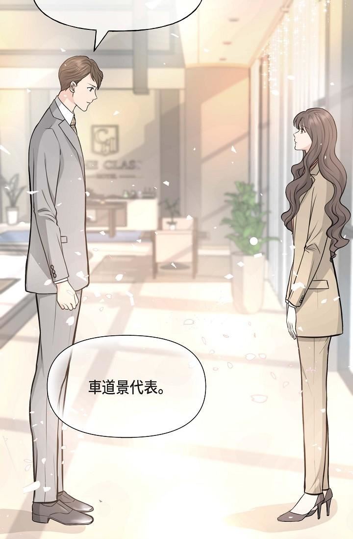 可疑的代表第2话-完美重现车道景代表