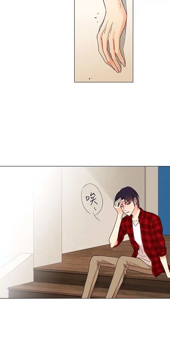 罗马尼亚体操养成社第29话