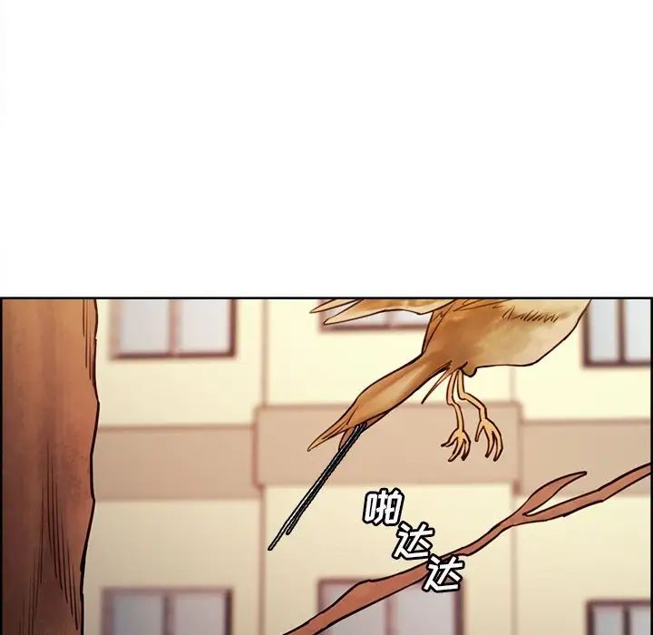 岳母家的刺激生活第49话