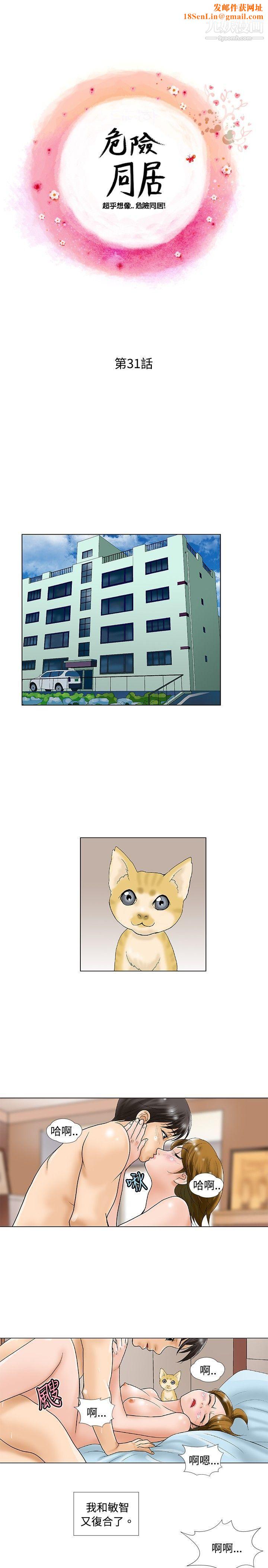 危险同居第31话
