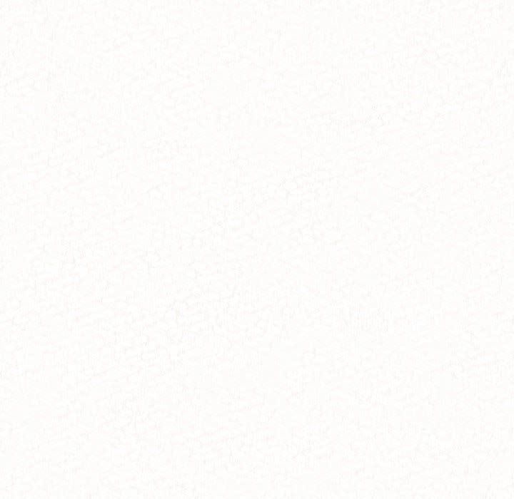 懵懂男生的恋爱史第2话