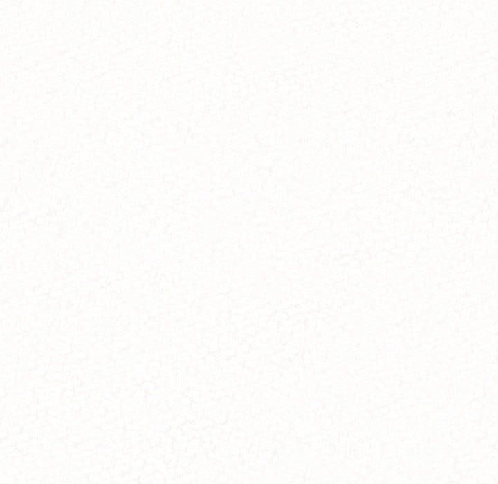 懵懂男生的恋爱史第2话