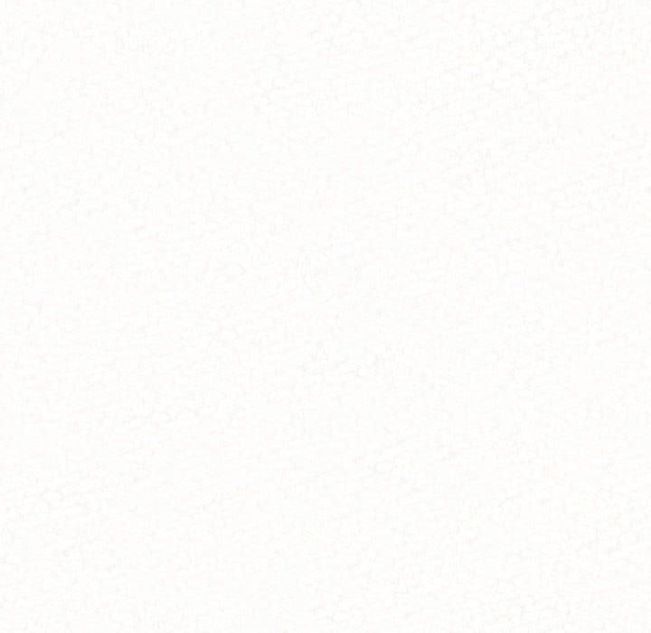 懵懂男生的恋爱史第2话