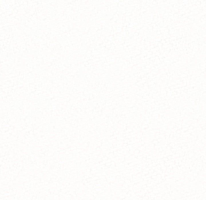 懵懂男生的恋爱史第2话