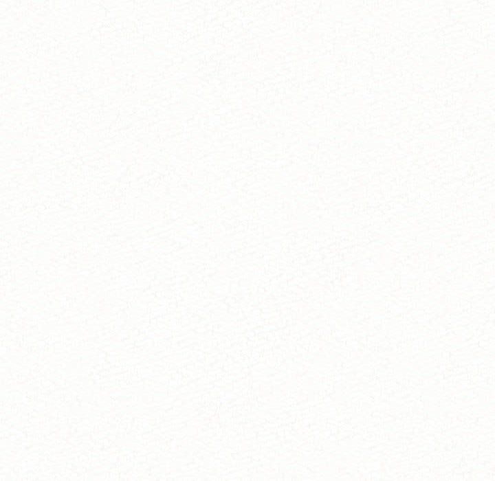 懵懂男生的恋爱史第6话