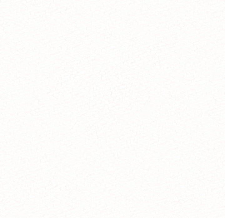 懵懂男生的恋爱史第6话