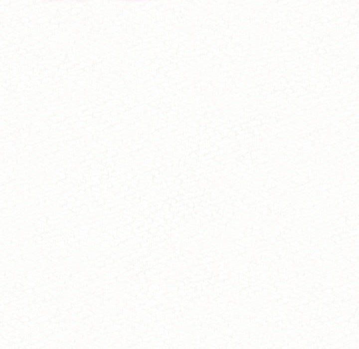 懵懂男生的恋爱史第6话