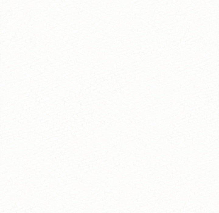 懵懂男生的恋爱史第7话