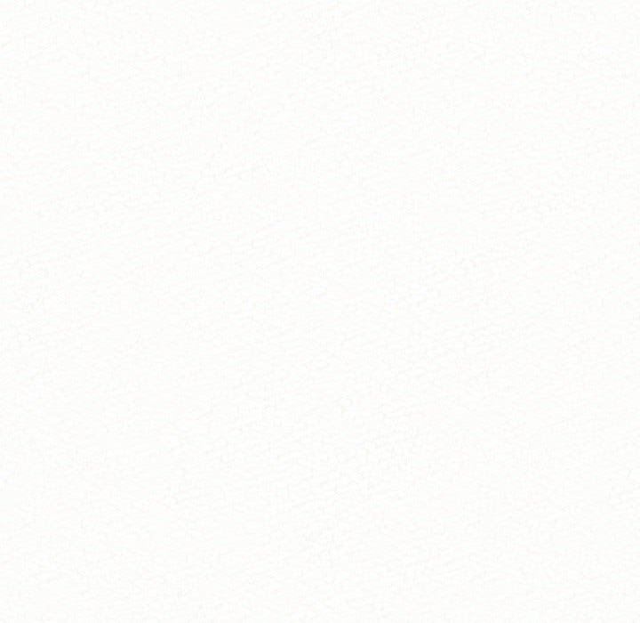 懵懂男生的恋爱史第43话