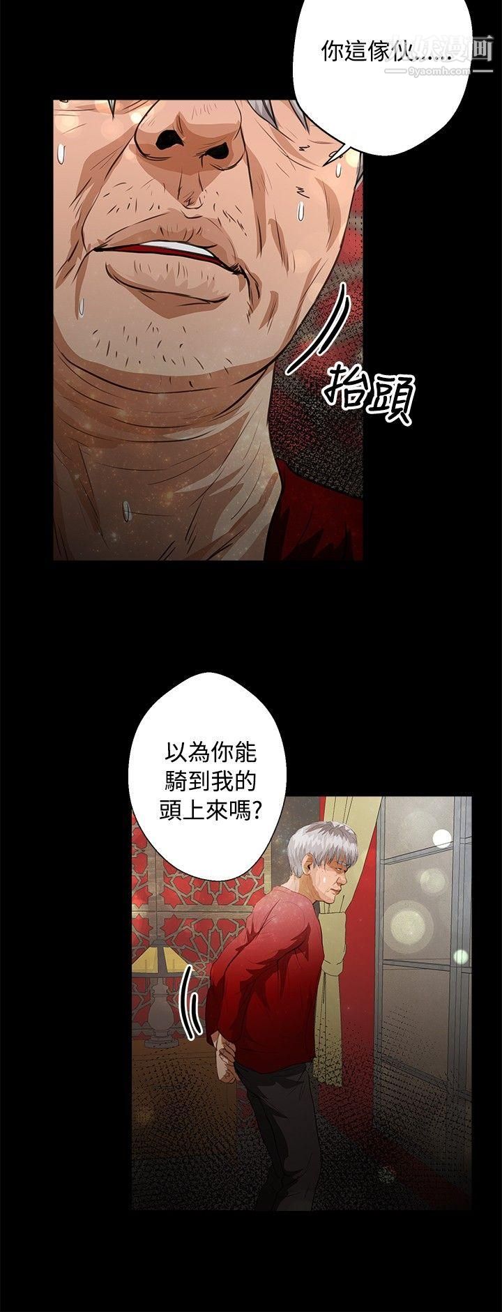 丛林爱爱法则第40话