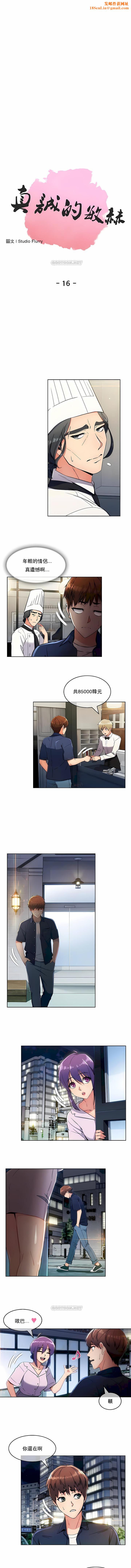 真诚的敏赫第16话