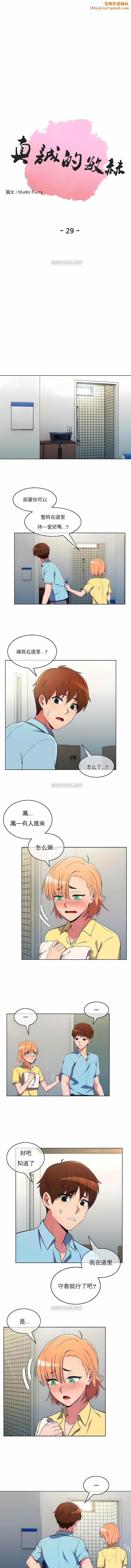 真诚的敏赫第29话