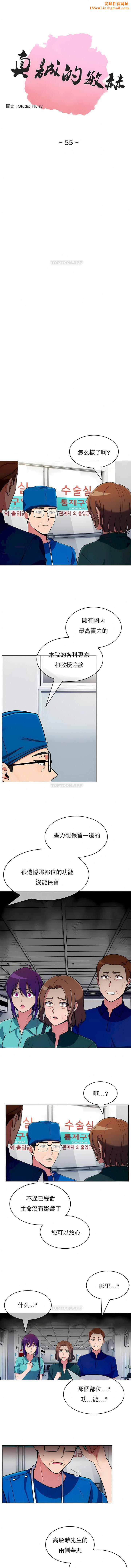 真诚的敏赫第55话
