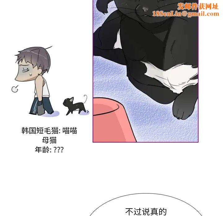 我的猫狗女友第1话