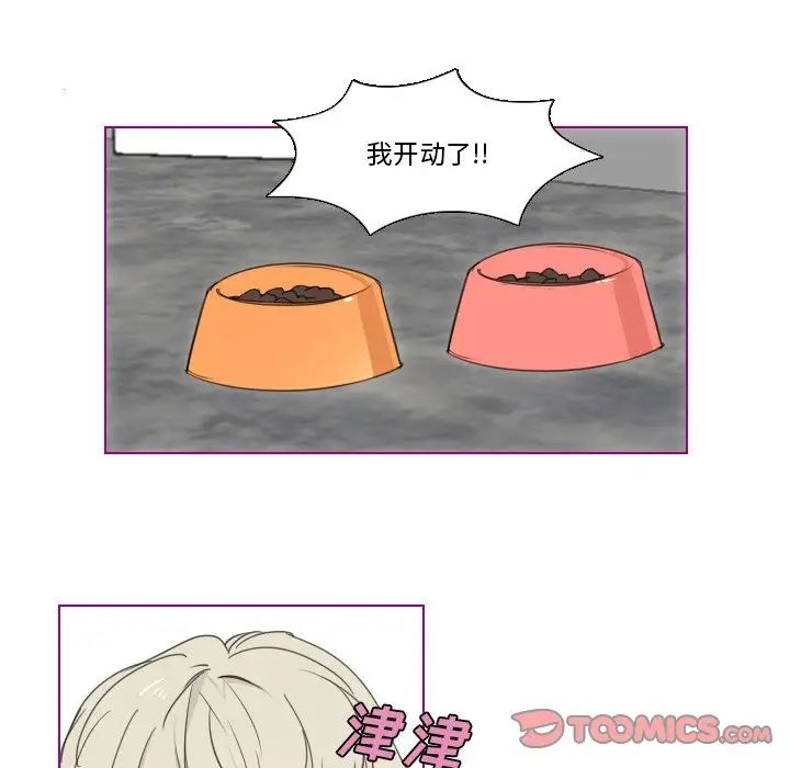 我的猫狗女友第4话