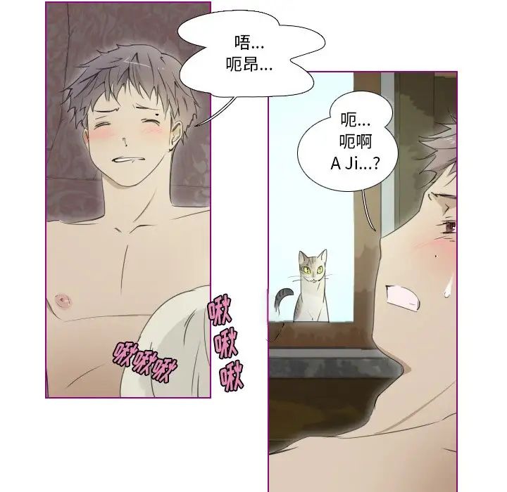 我的猫狗女友第9话