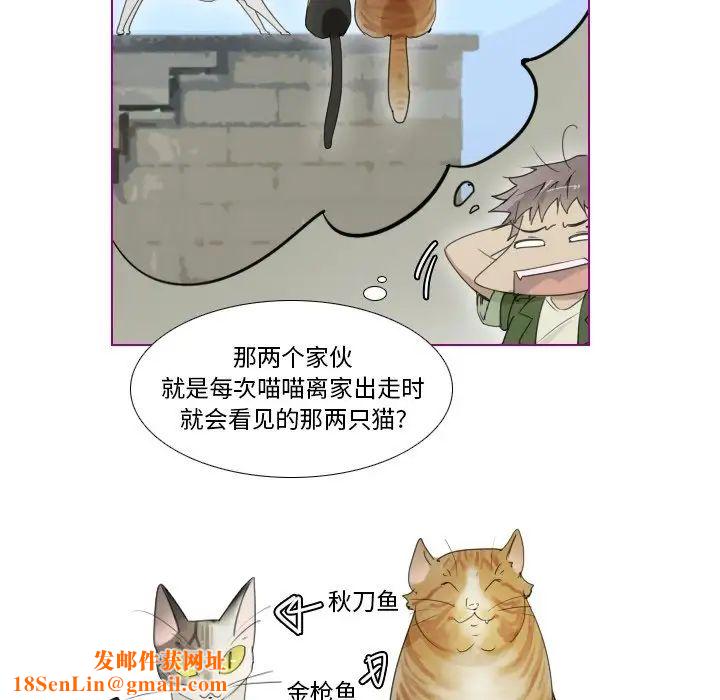 我的猫狗女友第9话