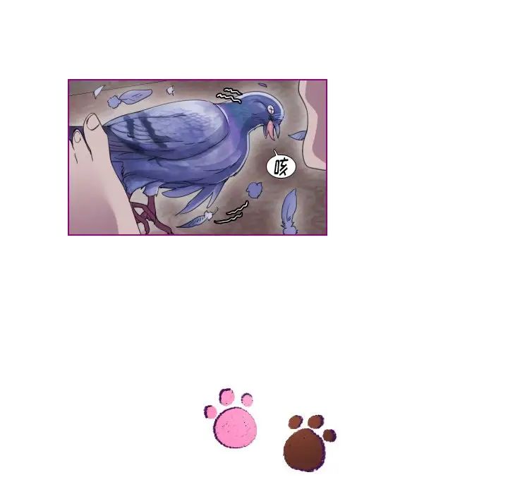 我的猫狗女友第9话