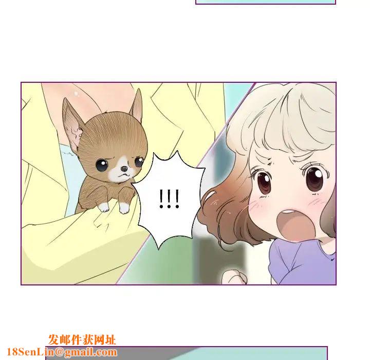 我的猫狗女友第13话