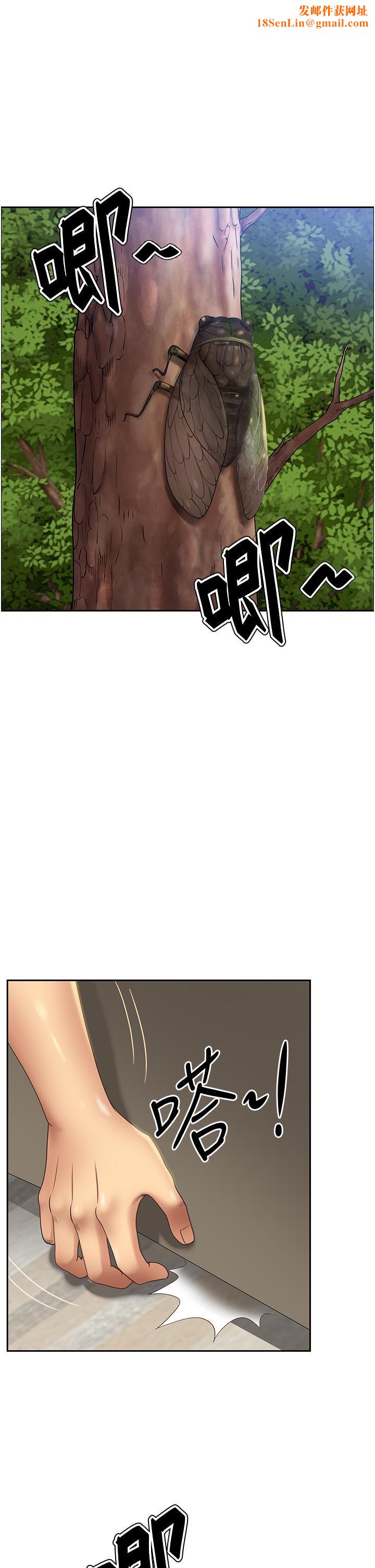 地方人妻们第1话-小鲜肉邻居新来乍到