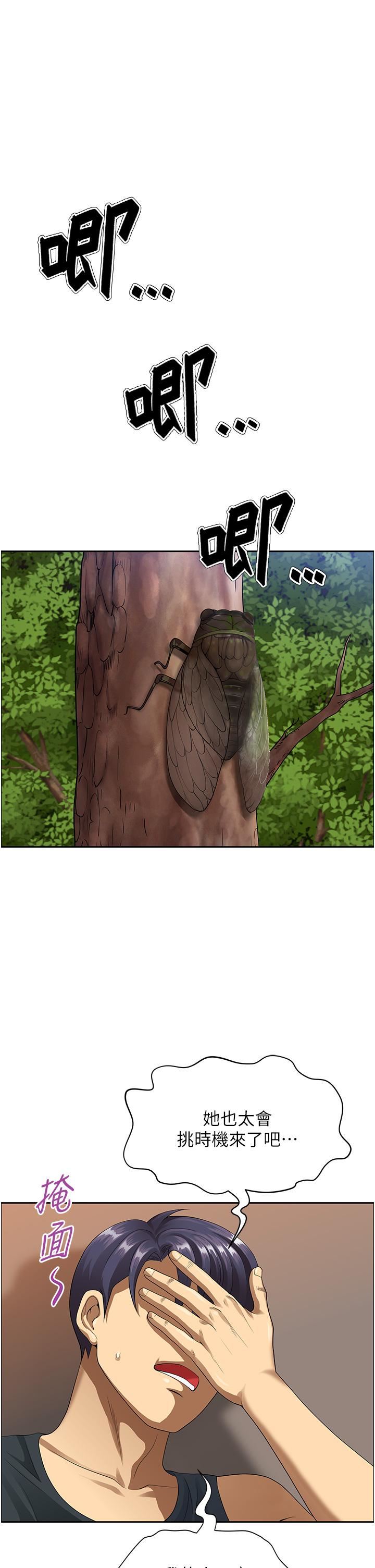 地方人妻们第1话-小鲜肉邻居新来乍到