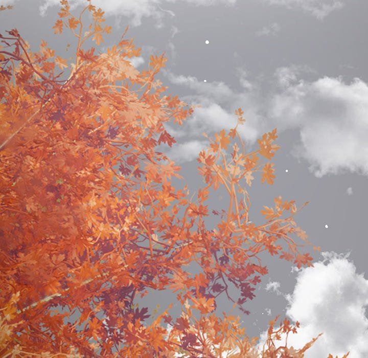 邻居的滋味第44话