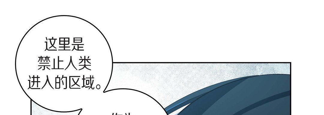 献给心臟第44话