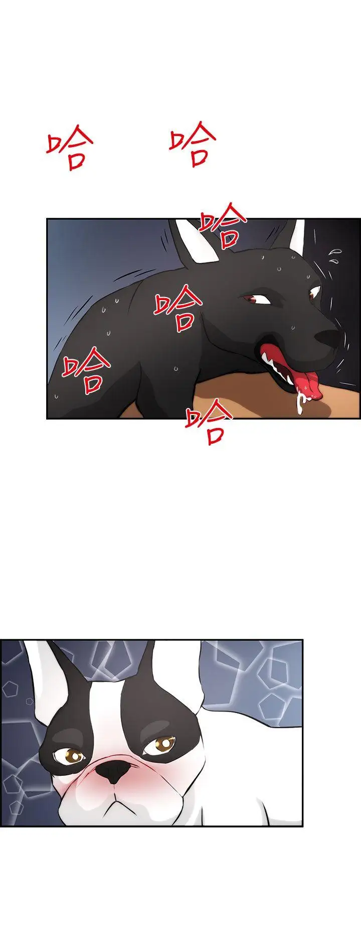 变成狗的男人第3话