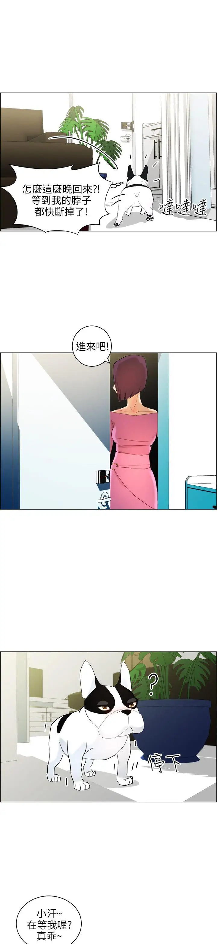 变成狗的男人第10话