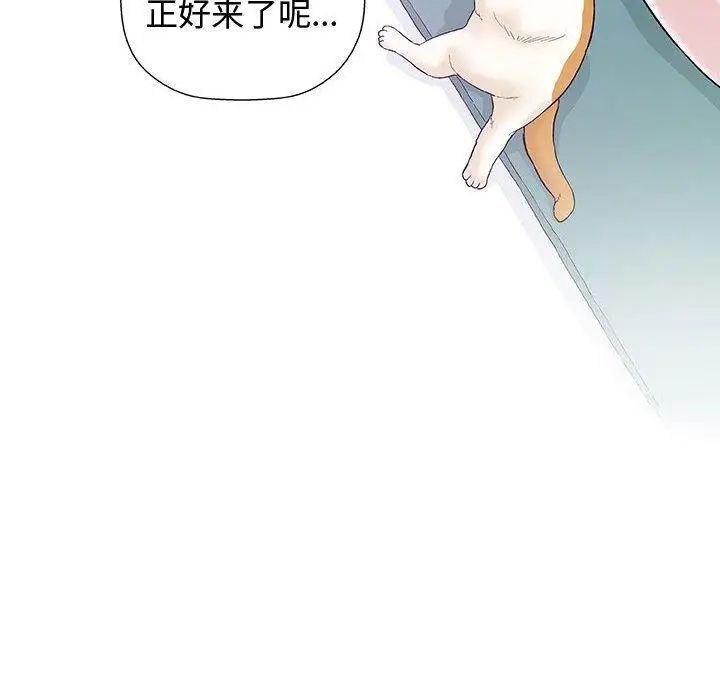 奇趣新人第12话