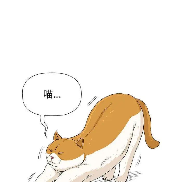 奇趣新人第15话