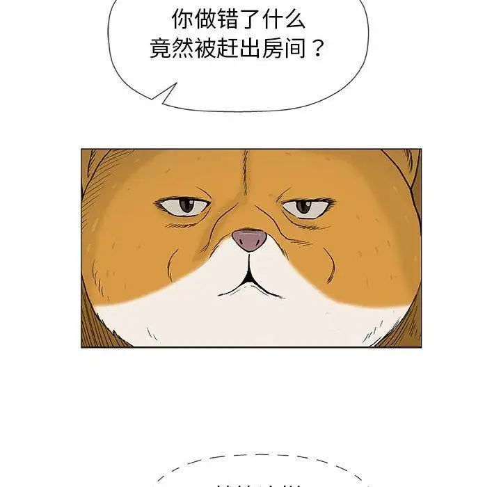 奇趣新人第19话