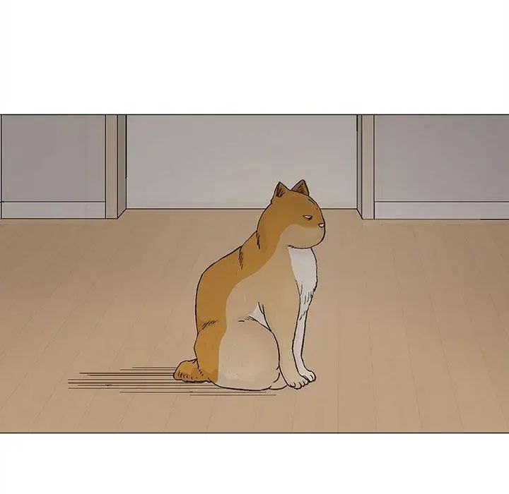 奇趣新人第19话