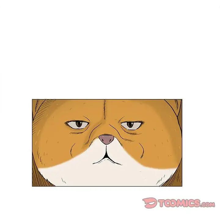 奇趣新人第19话