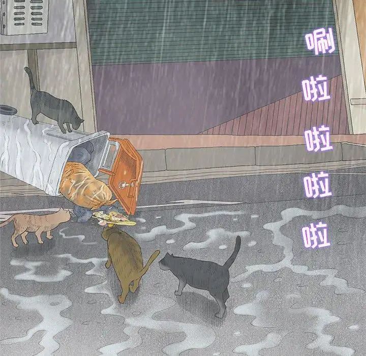 奇趣新人第24话