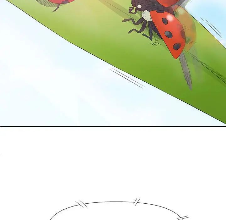 奇趣新人第26话