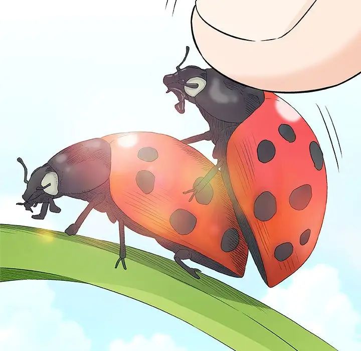 奇趣新人第26话