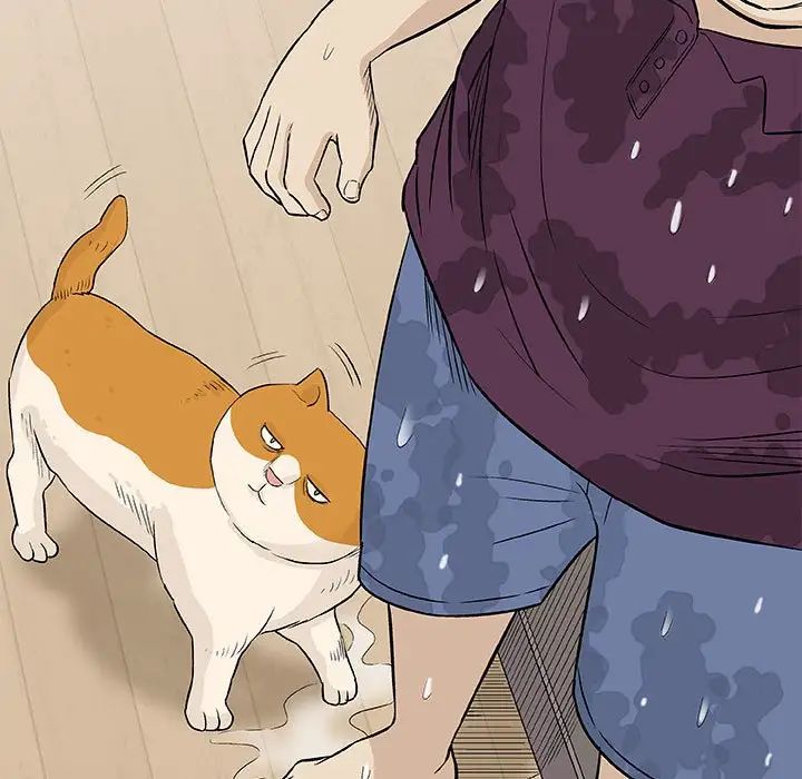 奇趣新人第26话