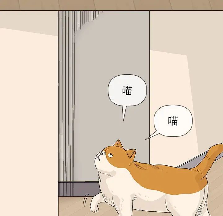 奇趣新人第26话