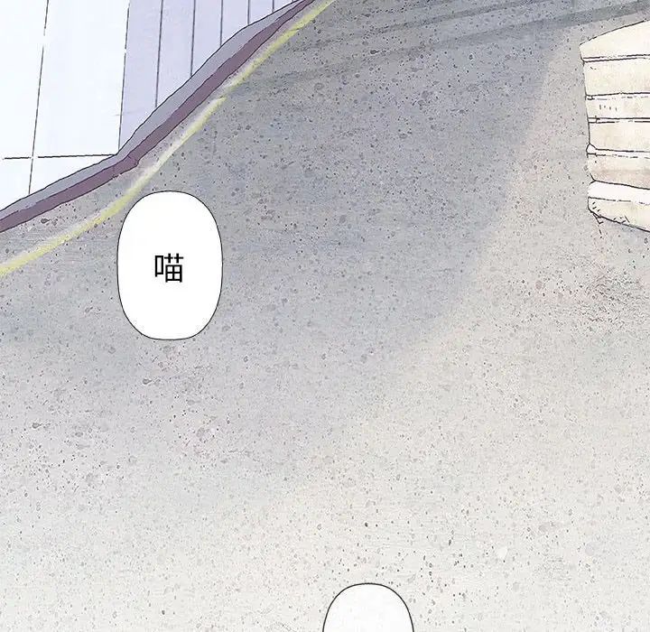 奇趣新人第28话