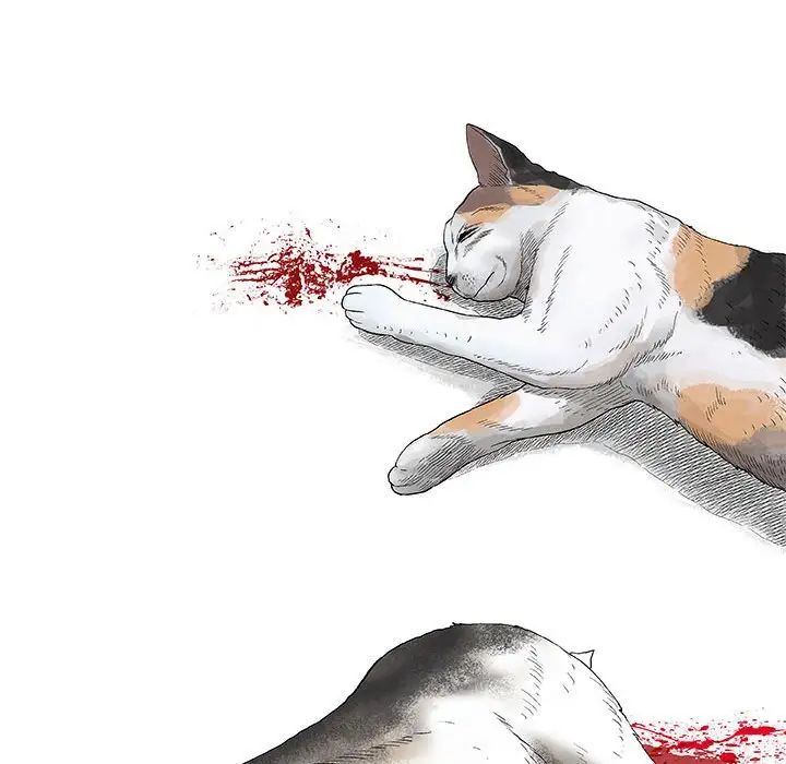 奇趣新人第28话