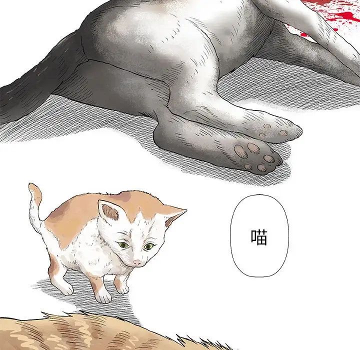 奇趣新人第28话