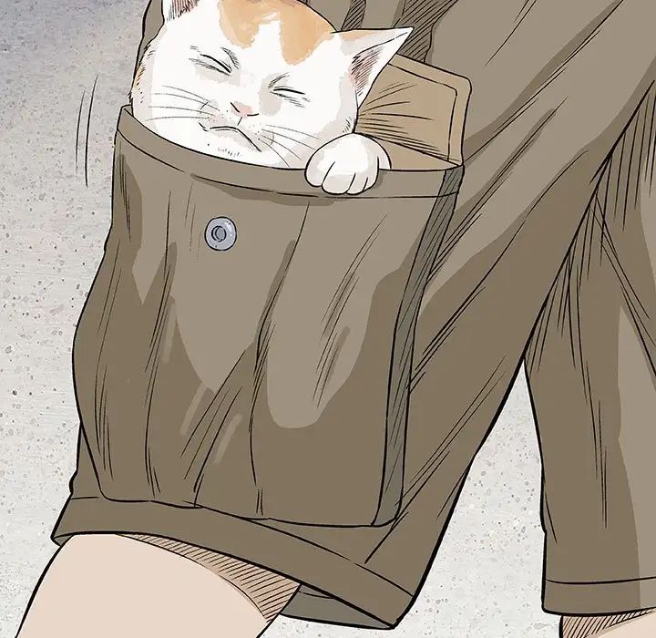 奇趣新人第28话