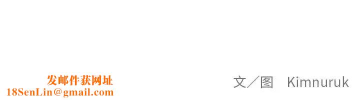 亲爱的你-Liebling！第77话