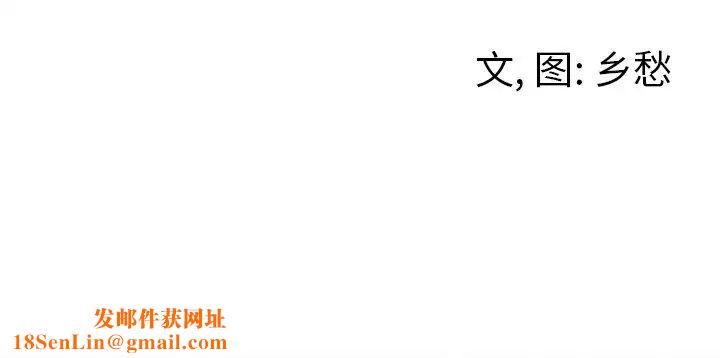 墓誌铭第33话