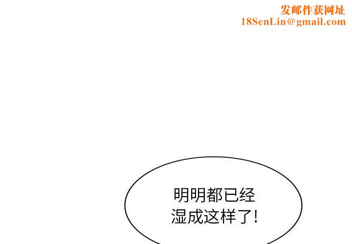 小镇上的女人们第8话