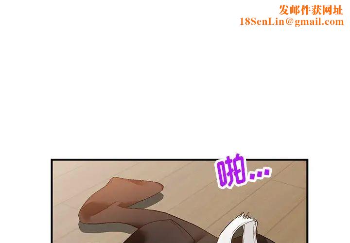 小镇上的女人们第17话