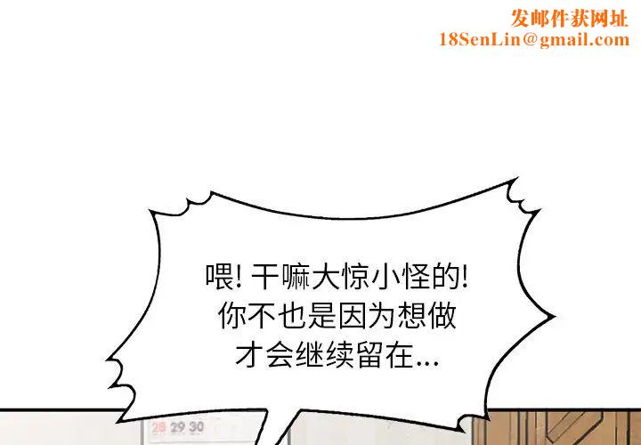 小镇上的女人们第28话